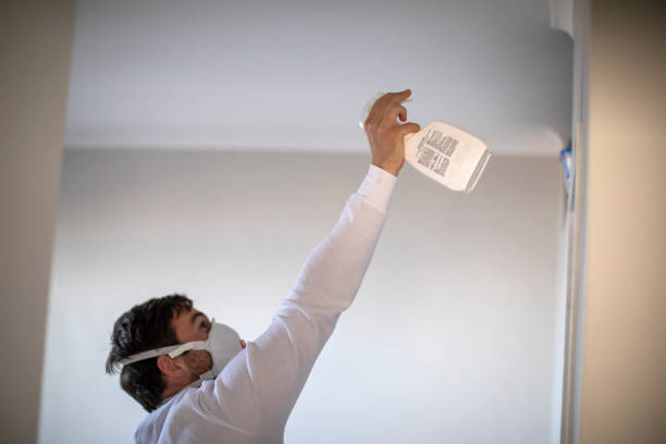 Best Crawl Space Mold Removal  in Fredericksburg, IA