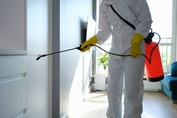 Best Mold Removal Company Near Me  in Fredericksburg, IA