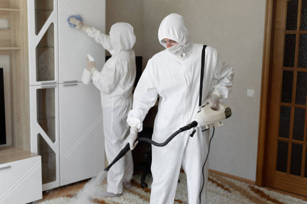 Best Mold Cleaning Services  in Fredericksburg, IA