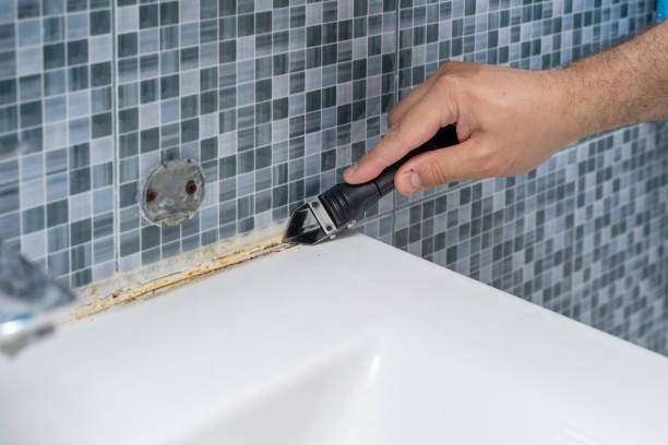Best Mold Removal Near Me  in Fredericksburg, IA
