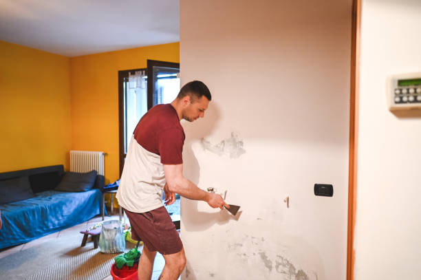 Best Mold Damage Repair  in Fredericksburg, IA