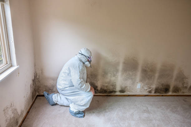 Best Mold Testing  in Fredericksburg, IA
